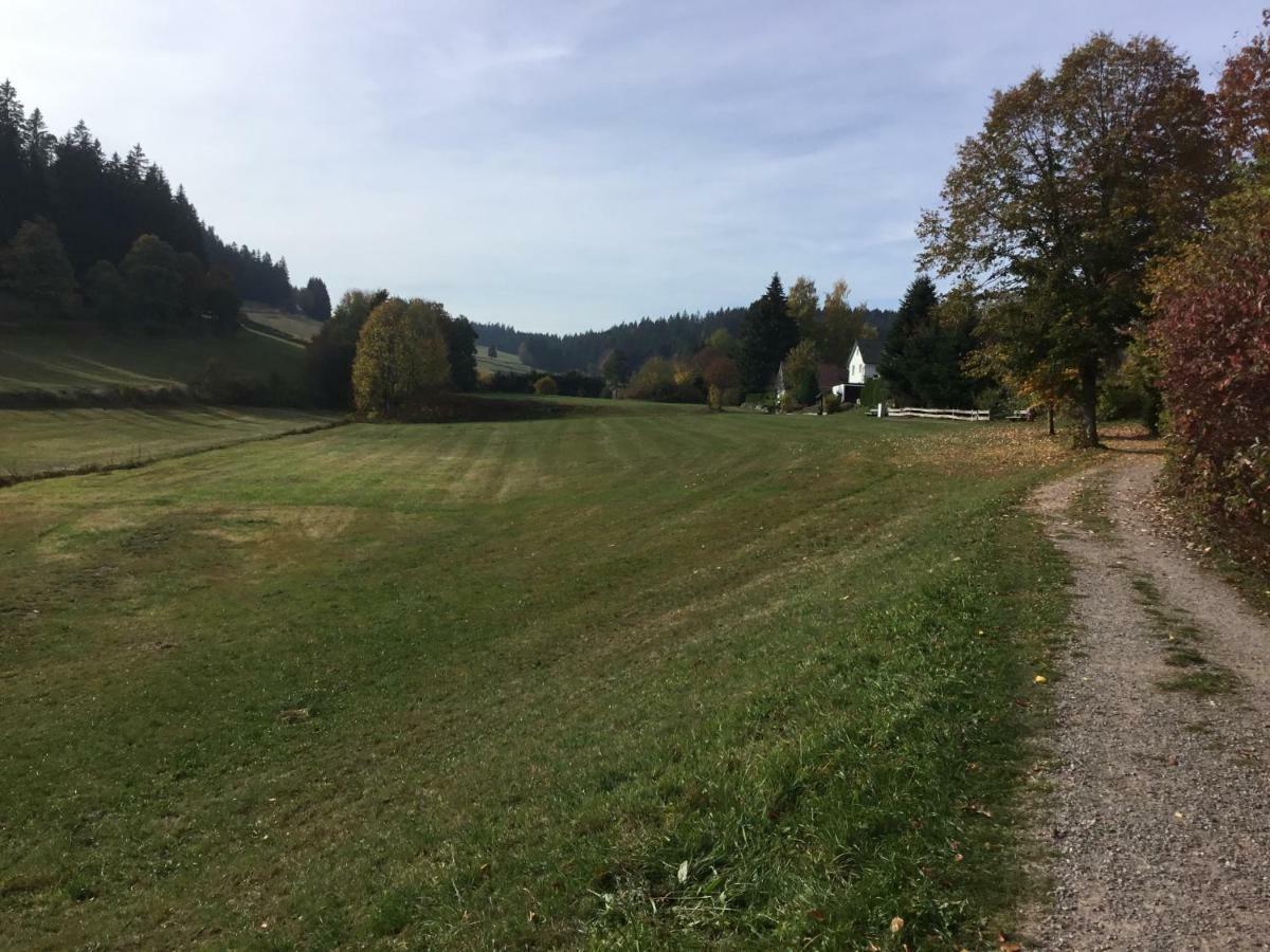 Gemuetliche 1Z Fewo In Schoenwald Mit Balkon, Schwimmbad, Sauna, Fitness Esterno foto