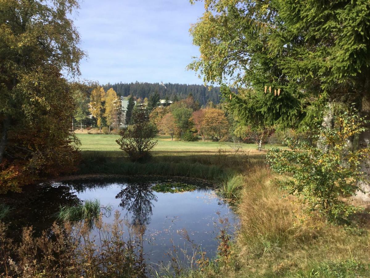 Gemuetliche 1Z Fewo In Schoenwald Mit Balkon, Schwimmbad, Sauna, Fitness Esterno foto